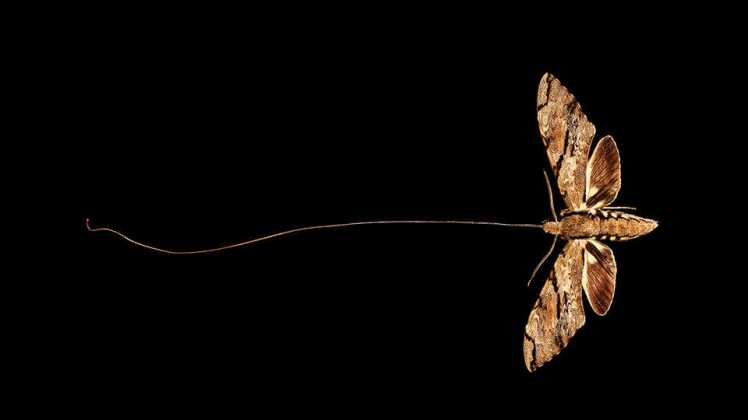 Blog_MariaG_guestpic2