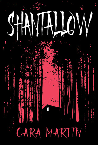 Blog_Shantallow_coverpic