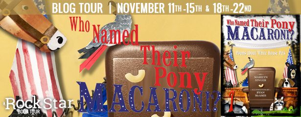 blog_pony_banner